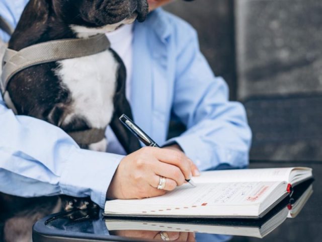 Why a Printable Puppy Sale Contract Is Essential When You Buy Frenchies for Sale